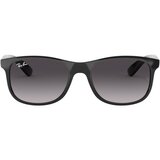 Ray-ban Andy RB4202 601/8G ONE SIZE (55) Črna/Siva | Shoptok.si