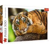 Trefl puzzle tigar, 500 kom | shoptok.hr