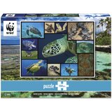 Ambassador Sea Turtles 1000 Pieces u