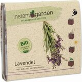 Feel Green instant garden "Sivka" | Shoptok.si