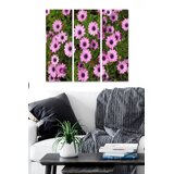 Wallity Set slika MDF27140749, 3 dijela | Eponuda.ba