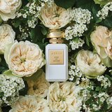 Estée Lauder Aerin Rose de Grasse EDP parfemska voda za žene 50 ml | shoptok.hr