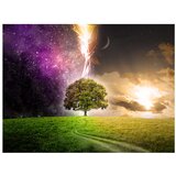  Tapeta - Magic tree 400x309 | shoptok.hr