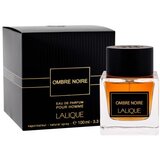 Lalique Ombre Noire 100 ml parfumska voda za moške | Shoptok.si