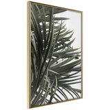  Poster - Little Tropics 30x45 | shoptok.hr