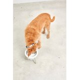 MiaCara Porculanska posuda s postoljem za pse ø 20 cm Pranzo Greige M – | shoptok.hr