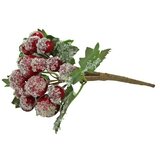  Vejica z jagodami in listi (13 cm, umetna masa, rdeča) | Shoptok.si