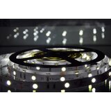 Mitea Lighting MLR-5050-30 6500K (dnevna svetlost) led traka 5m 12V 7,2W 30 LED/1m IP20 | Eponuda.com