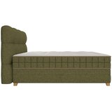 Premium Living Postelja Boxspring Bianco, Zelena, 160x200 | Shoptok.si