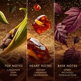 Jawhara Amberwood Nomad parfemska voda uniseks 100 ml | shoptok.hr