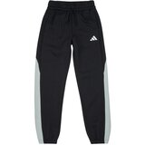 Adidas Spodnji deli trenirke - Črna Cene
