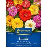 KIEPENKERL Cinija "Musica" - 1 pkt. Cene