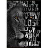 STREET Zvezek Maxi A4 veliki karo | Shoptok.si