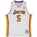 Mitchell And Ness Robert Horry 5 Los Angeles Lakers 2002-03 Swingman Alternate dres | shoptok.hr