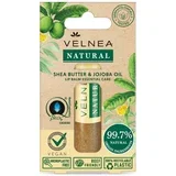 natural lip balm ši buter i ulje jojobe 5,5ml