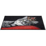 wash+dry PREDPRAŽNIK Royal Cat 50/75 cm rdeča, črna | Shoptok.si