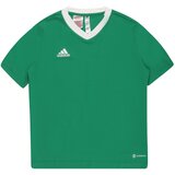 Adidas Funkcionalna majica travnato zelena / bela | Shoptok.si