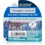 Yankee Candle Aloe & Agave vosek za aroma lučko 22 g | Shoptok.si