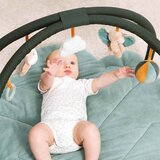 Nattou bebi gimnastika luna i axel ( A060818 ) | ePonuda.com