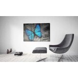  Slika - The study of butterfly - triptych 120x80 | shoptok.hr