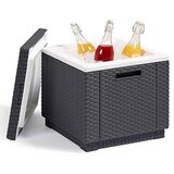 Keter hladnjak Ice Cube grafitna boja | shoptok.hr
