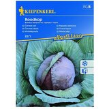 KIEPENKERL Zelenjavna semena rdečega zelja Roodkop (Brassica oleracea var. capitata f. rubra, Čas žetve: Avgust) | Shoptok.si