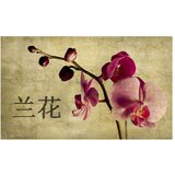  Tapeta - Japanese orchid 450x270 | shoptok.hr