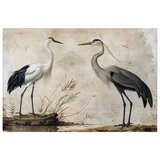  Plakat - Birds from an Old Engraving - vintage-style illustration of a heron and a crane 90x60 Bez okvira | shoptok.hr
