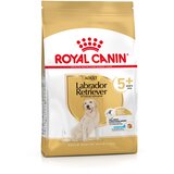 Royal Canin Labrador Retriever Adult 5+ - Varčno pakiranje: 2 x 12 kg | shoptok.hr