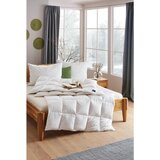 Billerbeck VZGLAVNIK 60/80 cm | Shoptok.si