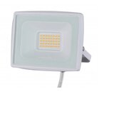 Mitea LED Reflektor SMD 30W 220V 6500K Beli | ePonuda.com