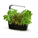Tregren Pametni kuhinjski vrtiček T6 - črn, (21336499) | Shoptok.si