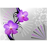  Tapeta - Purple vibrations 400x280 | shoptok.hr