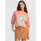Rollwithitcord Krilo camel