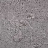 vidaXL Samoljepljive podne obloge PVC 5 21 m² 2 mm smeđa boja cementa | shoptok.hr
