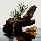Burberry Hero Eau de Parfum parfumska voda za moške 50 ml | Shoptok.si