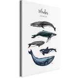 Artgeist Slika Na Platnu Whales | Shoptok.si