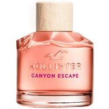 Hollister Canyon Escape parfemska voda 100 ml za žene Cijene