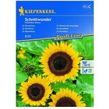 KIEPENKERL Sjeme cvijeća Suncokret Scnittwunder (Helinathus annuus, Žuta) | shoptok.hr