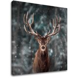  Slike na platnu ŽIVOTINJE_052-12 (moderne slike na platnu) | ePonuda.com