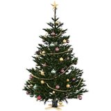  Stalak za božićno drvce Crna 50 x 50 x 16 cm Čvrsto borovo drvo | shoptok.hr