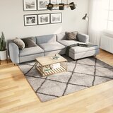 vidaXL Čupavi moderni tepih s visokim vlaknima bež antracit 240x240 cm Cijene