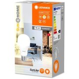 Ledvance led prigušiva antibakterijska sijalica A40 E27/9W/230V wi-fi | Eponuda.com