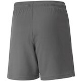 Puma Kratke hlače & Bermuda Teamliga Jr Siva | Shoptok.si