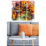 Wallity Set slika MDF2547777, 3 dijela | Eponuda.ba
