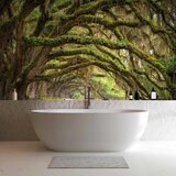  Foto tapeta - Tree embrace 350x256 | shoptok.hr