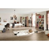 Modern Living Regal Young, Bela, Barva Hrasta | Shoptok.si