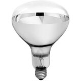  Sijalica temperaturna 150W (kvočka) Elit ( 15253 ) | Eponuda.com