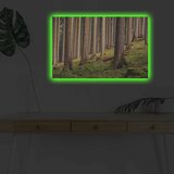 Wallity Slika sa LED osvetljenjem 4570DHDACT-010, 45x70 cm | ePonuda.com