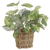  Umjetna biljka Begonija (Ø x V: 12 x 33 cm, Plastika) | shoptok.hr